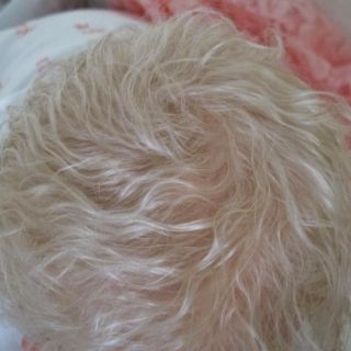 Doves Nursery Real Life Reborn Baby Girl 'Fridolin' Karola Wegerich