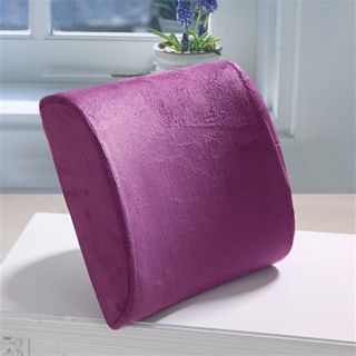 Ct Memory Foam Lumbar Back Support Cushion Pillow for Office Home Car Seat Chair