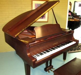 Yamaha Baby Grand Piano Model GC1 5'3" 5yr Warranty Chicago