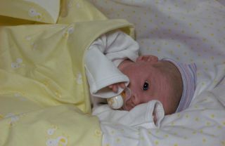 Le Josephine Klinger Beautifully Reborn Baby Boy Newborn Doll COA Included