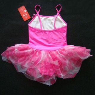 Girls Leotard Dance Ballet Dress Tutu Sz 3T 4T Hot Pink