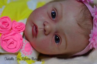 OOAK Sold Out Livia Reborn Baby Girl Gudrun Legler B Brown Limbs Stunning