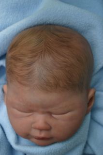 Reborn Baby Doll Raven by Tamie Yarie Head Only Painted Hair Lil Beans