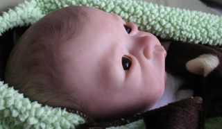 Reborn Baby Boy Paige by Tasha Edenholm Reborn Baby Doll Painted Hair