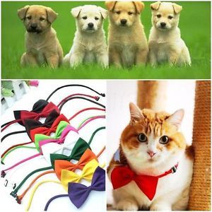 3pcs 10colors Available Dog Cat Pet Puppy Toy Kid Bow Tie Necktie Collar Clothes