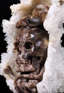 Stunning 8 1" Sculpture Druse Quartz Rock Crystal Carved Skull and Snake Bones