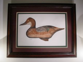 Arthur Nevin Decoy Duck Etching Limited Edition Print Pintail Hen Chesapeake Bay