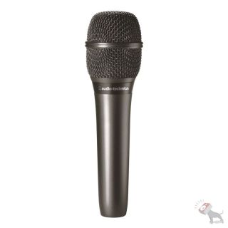 Audio Technica AT2010 Microphone Cardioid Condenser Vocal Recording Studio Mic 042005147922