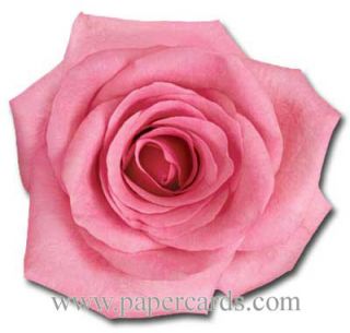 Pink Rose Die Cut Blank Card Greeting Card by Paper House Productions