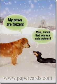 Paws Are Frozen 12 Funny Dog Themed Boxed Christmas Cards by Nobleworks