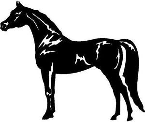 Arabian Horse Show Decal Horses Sticker for Car Truck Trailer Window Arabians
