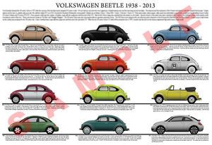 Volkswagen VW Beetle Evolution Chart 19x13 Poster 1938 to 2013 Bug