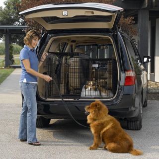 Midwest Solutions Series Double Door Dog Crate   Dog Crates