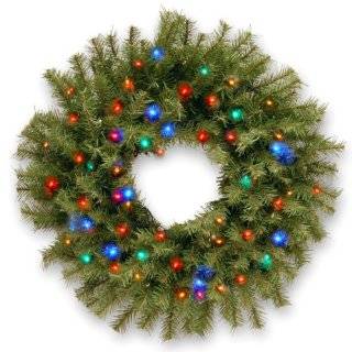 National Tree NF 309 24W B 24 Inch Norwood Fir Wreath with 50 Concave 4 Color Multi LED lights Battery Operated Timer   Christmas Wreath Battery