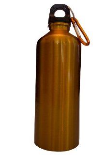 Stainless Steel Reusable Water Bottle w/ Hiking Clip, GOLD 20 oz. Kitchen & Dining
