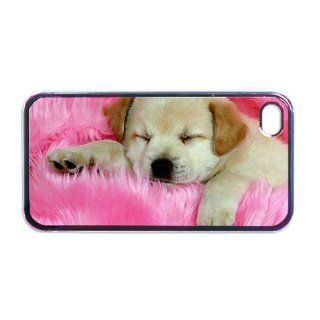 Cute puppy Apple iPhone 4 or 4s Case / Cover Verizon or At&T Phone Great Gift Idea Cell Phones & Accessories