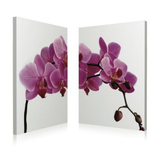 Artistic Bliss Pink Orchid Wall Art (Set of 2)