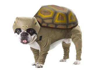 Tortoise Dog Costume   Animal Planet Dog Costumes