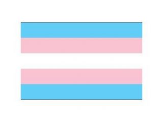 Transgender Flag Sticker   LGBT Transgender Pride   Car Decal Sticker