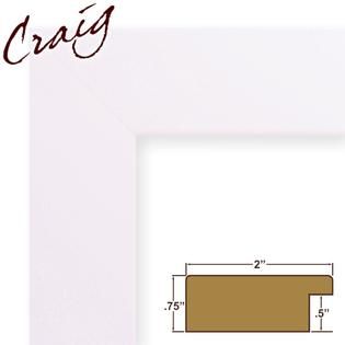 Craig Frames Inc  17x23 Custom 2 Wide Complete White Satin Smooth