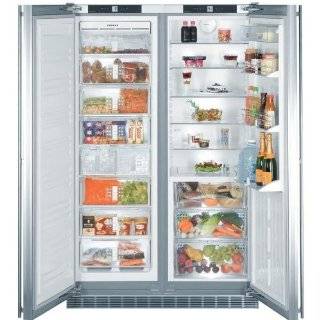   Refrigerator   Custom Panel Doors / Stainless Steel Cabinet