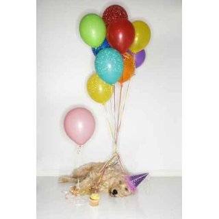  Aye Chihuahua Pinata Figurine