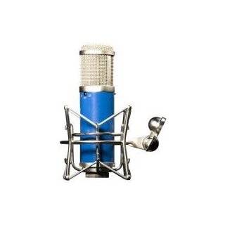    APEX 415 Large Diaphragm Studio Microphone Musical Instruments